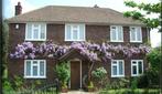 Clay Farm Guest House