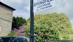 Springfield guest house