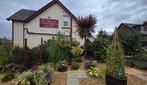 St Leonards Guest House