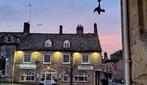 The Fox